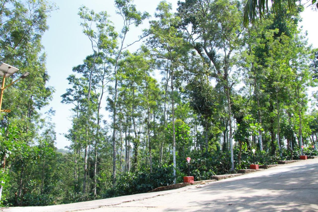 Kingmaker'S Plantation With River Stream Мадикери Экстерьер фото