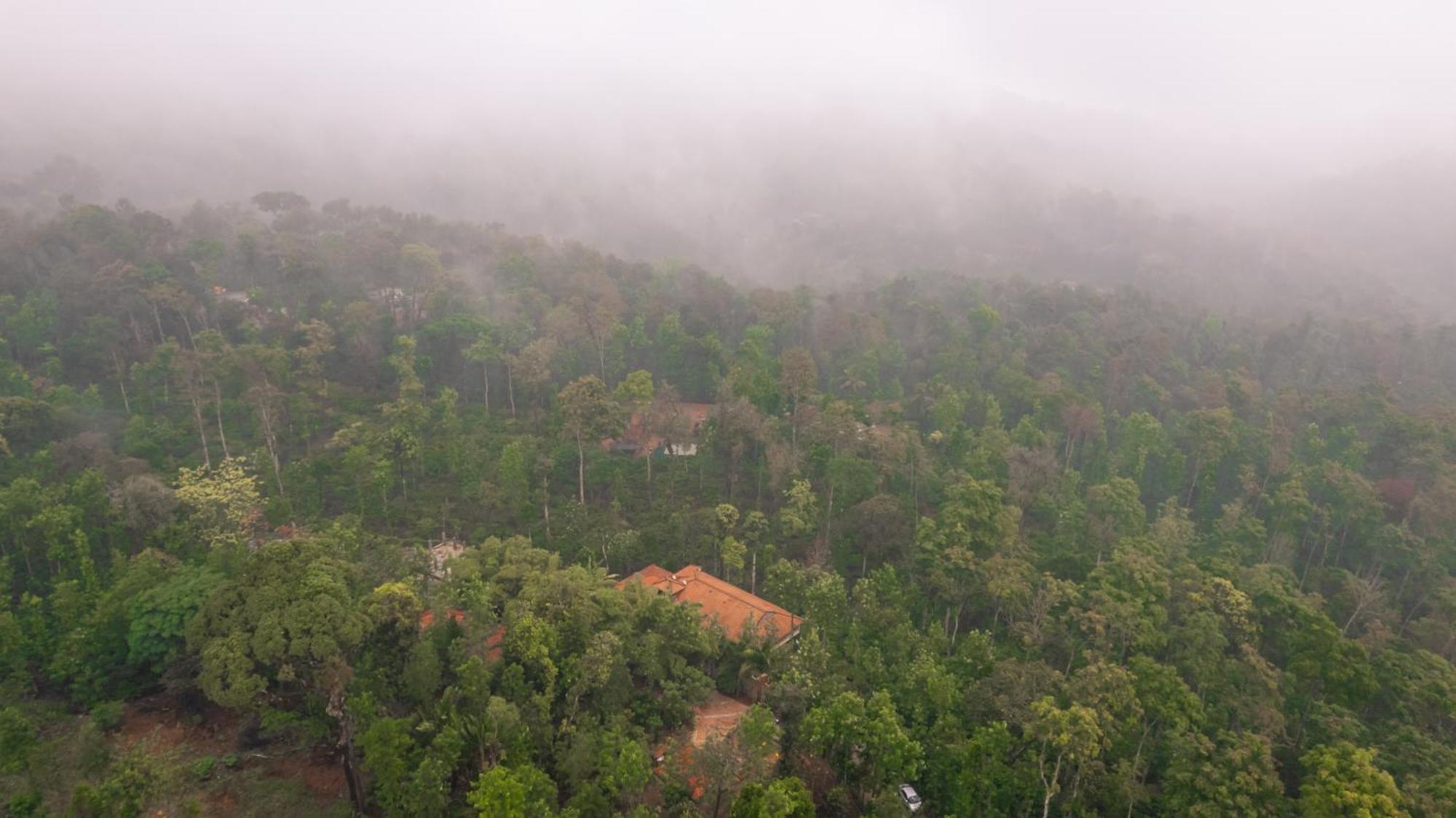 Kingmaker'S Plantation With River Stream Мадикери Экстерьер фото